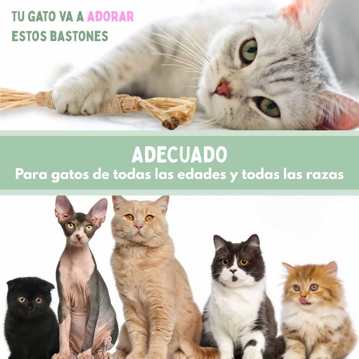 DentaSticks - Palitos Dentales de Silvervine para Gatos