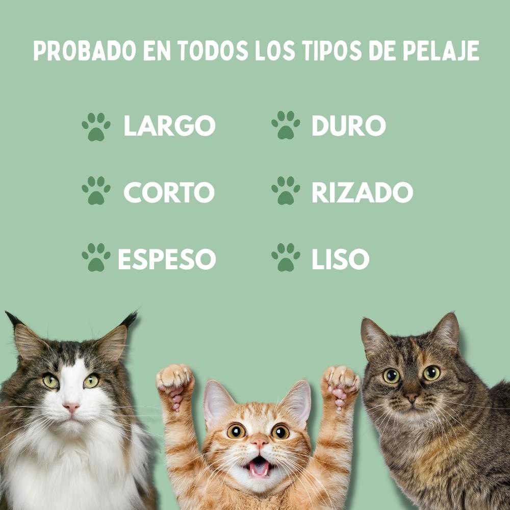 Cepillo de Vapor Multifuncional 4 en 1 para gatos