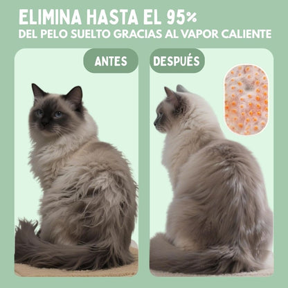 Cepillo de Vapor Multifuncional 4 en 1 para gatos