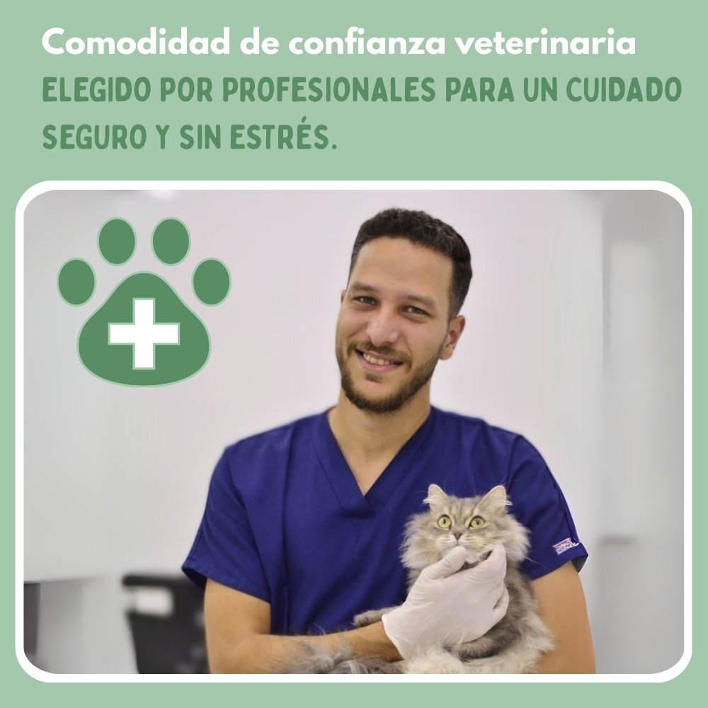 Juguete interactivo de ratón para gatos