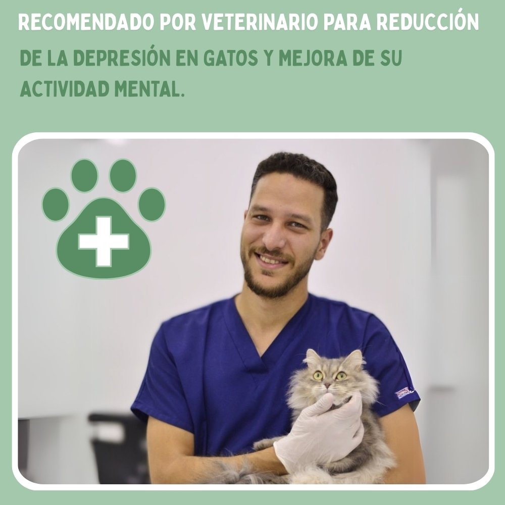 Juguete interactivo de pájaro para gatos