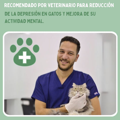 Juguete interactivo de pájaro para gatos