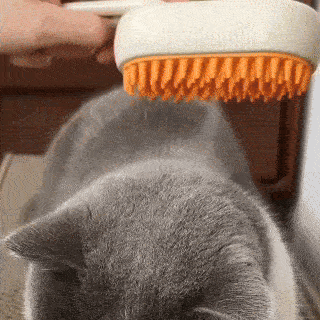 Cepillo de Vapor Multifuncional 4 en 1 para gatos