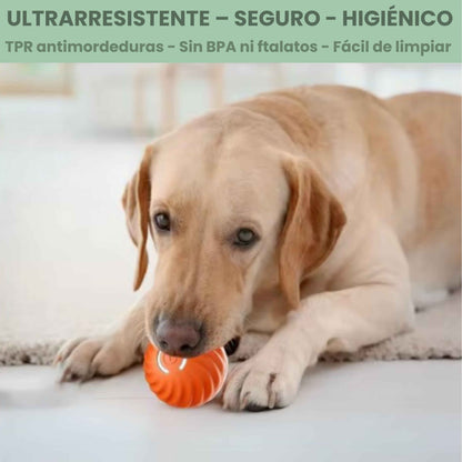 PELOTASALTA - La pelota que salta y cambia de dirección, manteniendo a tu perro activo y entretenido