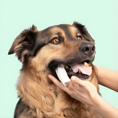 DentaFresh - Toallitas de Limpieza y Protección Dental para Perros
