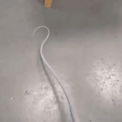 Bastón de juego interactivo para gatos