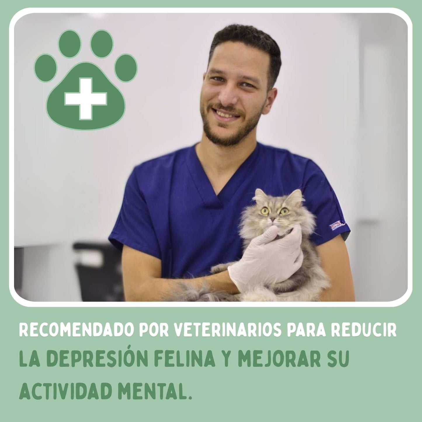 SPIRAGATO – Rascador interactivo para gatos