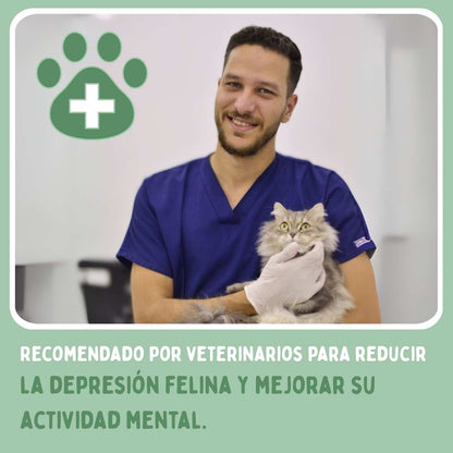 SPIRAGATO – Rascador interactivo para gatos