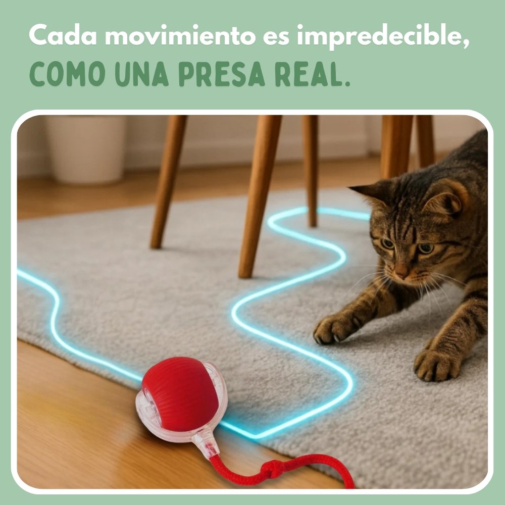 PELOTAVIVA - Pelota inteligente 100% autónoma para gatos