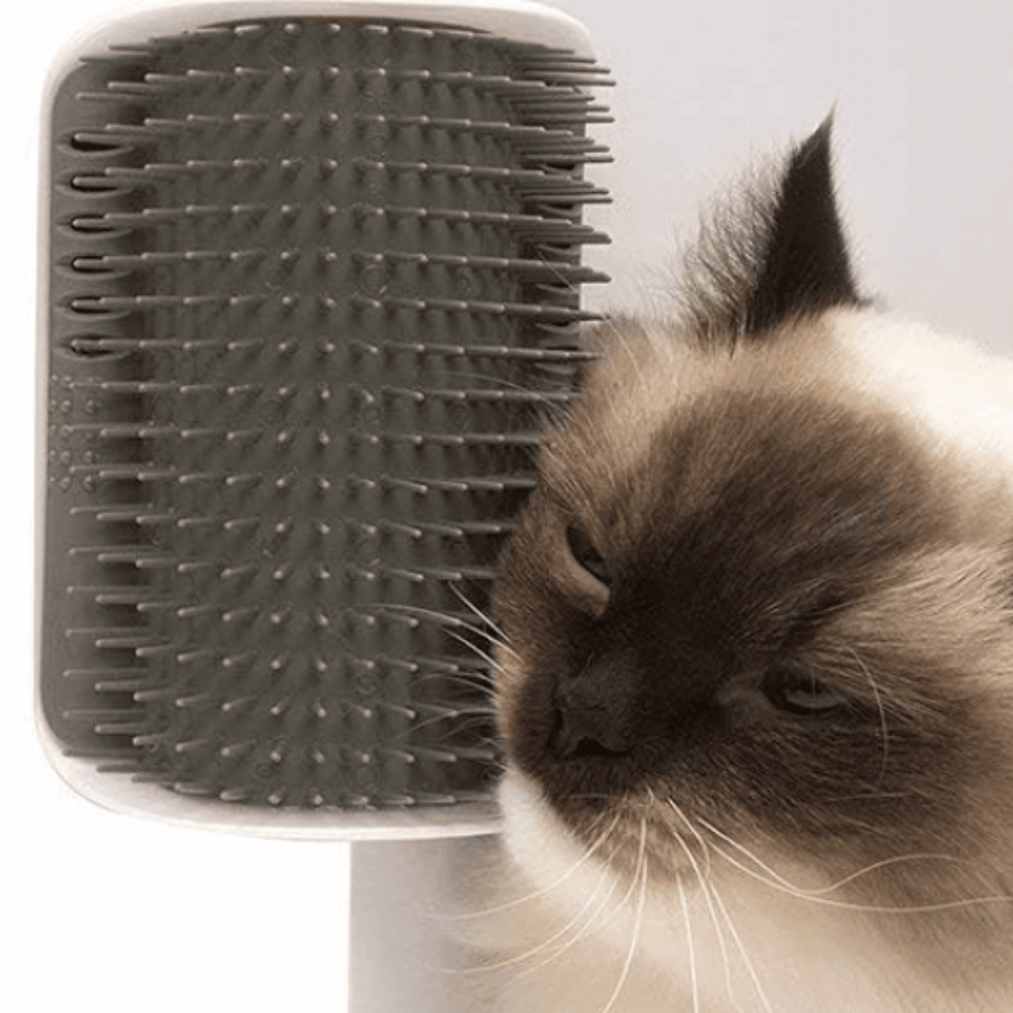 RASCACORNER - Esquina de masaje mural para gatos