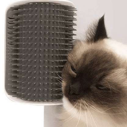 RASCACORNER - Esquina de masaje mural para gatos