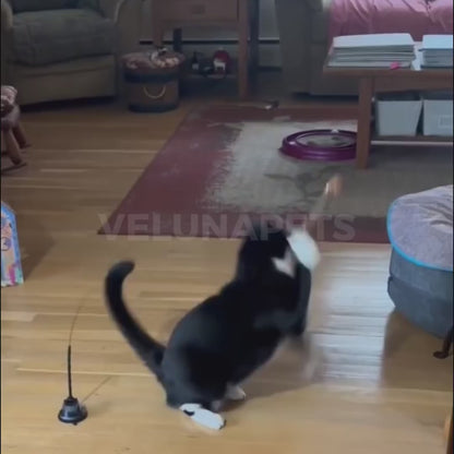 ALAVIVA – Juguete interactivo para gatos, con plumas, suspendido y que rebota