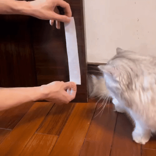 Puerta sin perforación para gatos