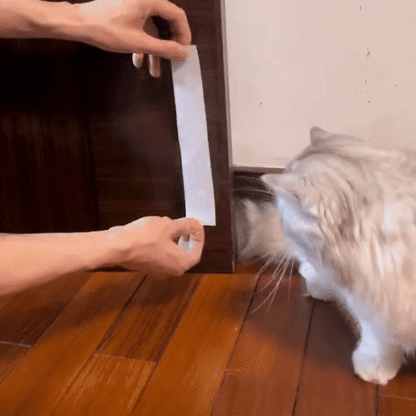 Puerta sin perforación para gatos